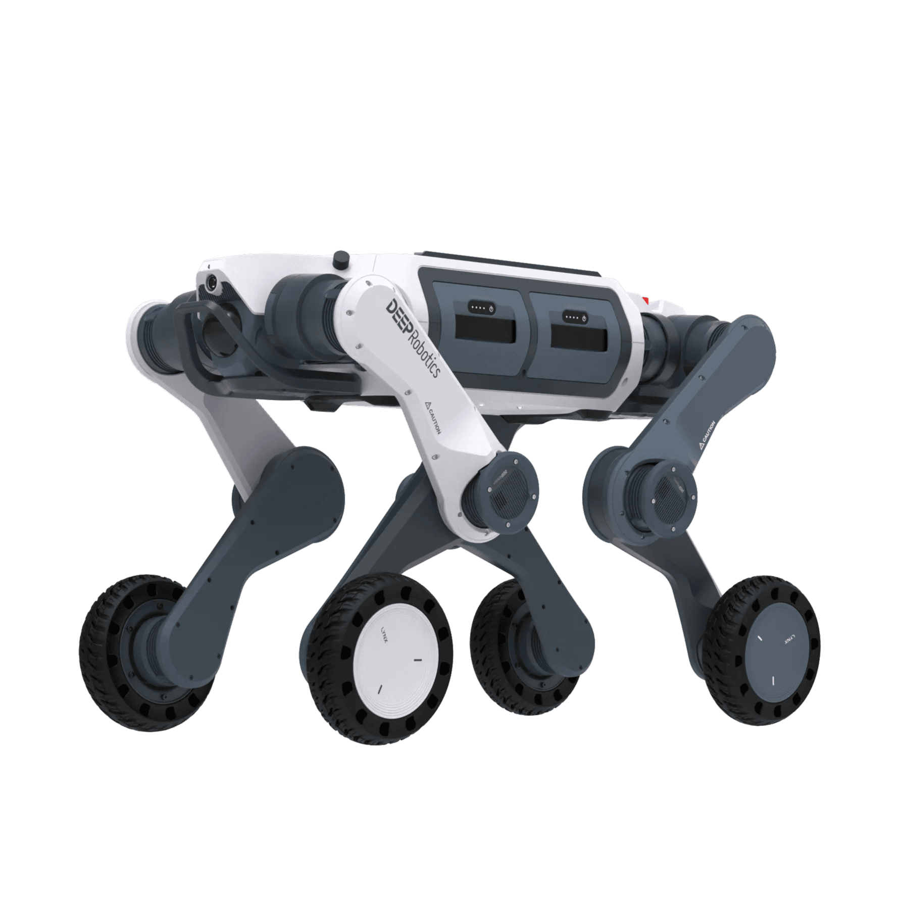 Quadruped Robot